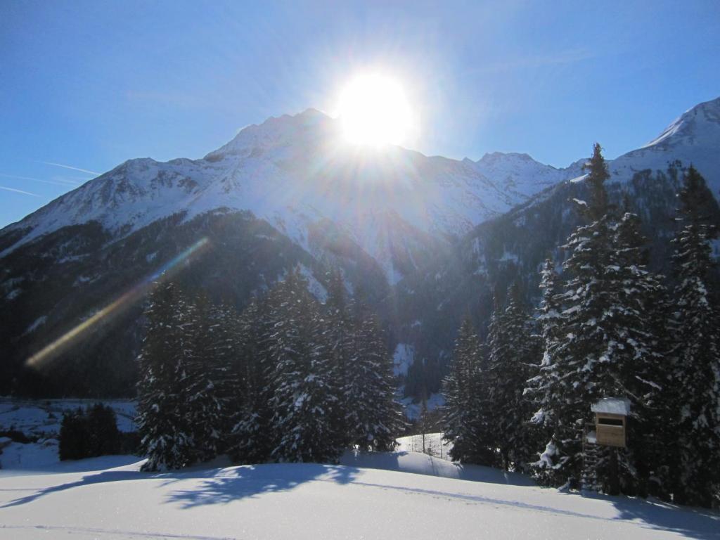 Haus Mattle Lejlighed Pettneu am Arlberg Eksteriør billede