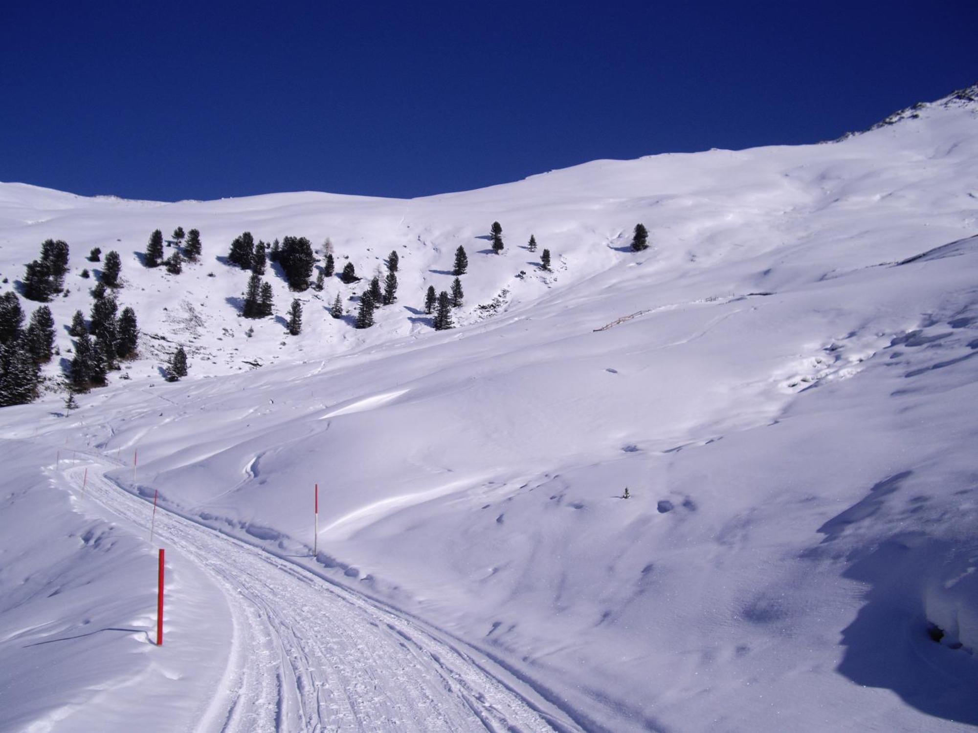 Haus Mattle Lejlighed Pettneu am Arlberg Eksteriør billede