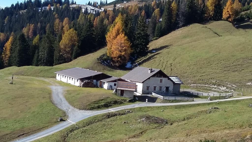 Haus Mattle Lejlighed Pettneu am Arlberg Eksteriør billede